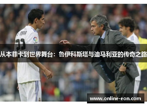 从本菲卡到世界舞台：鲁伊科斯塔与迪马利亚的传奇之路